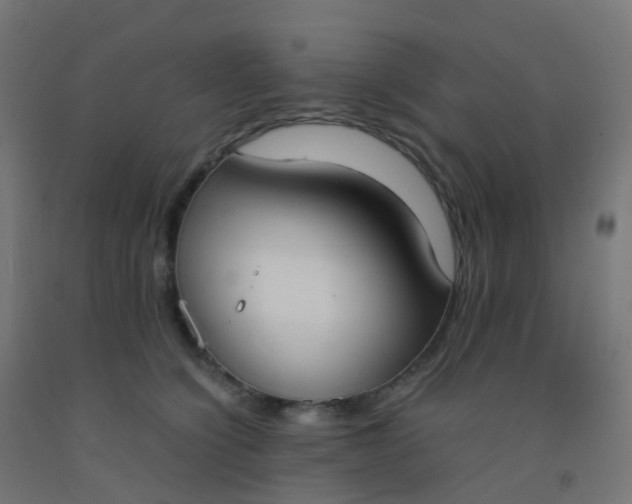 X0000092330564200709281428