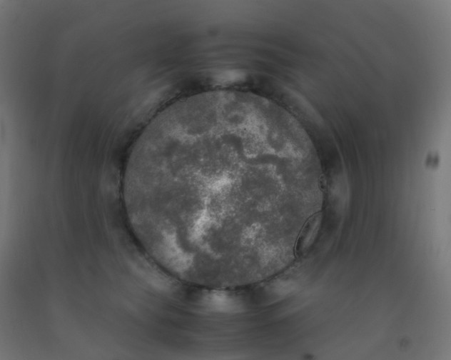 X0000092330565200709281428