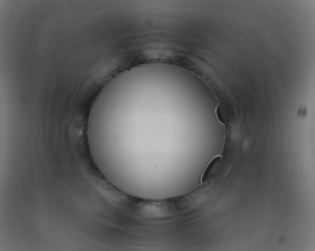 X0000092330567200709281428