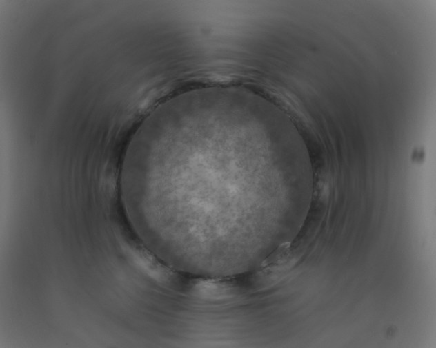 X0000092330568200709281428
