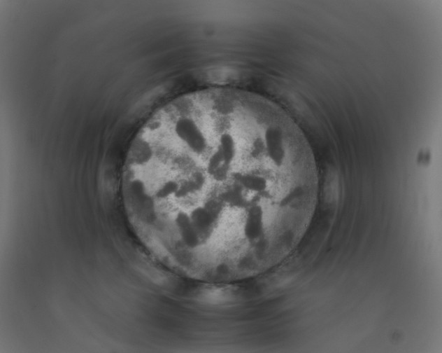 X0000092330569200709281428