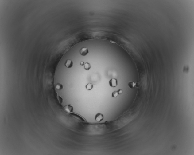 X0000092330571200709281428