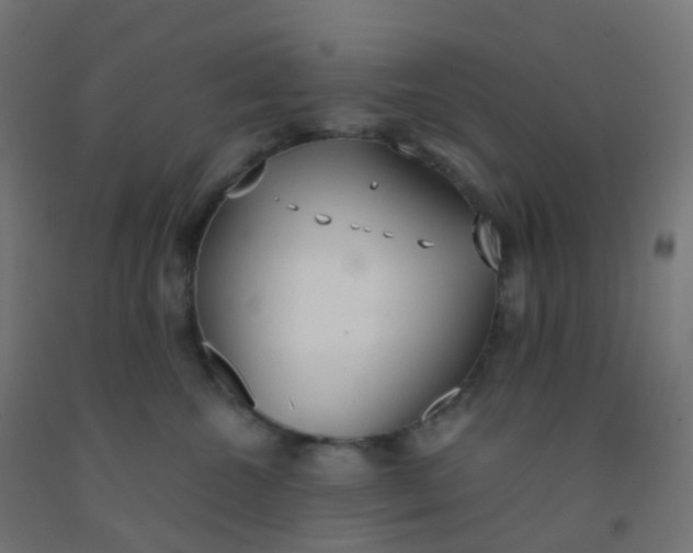 X0000092330572200709281428