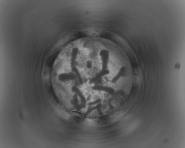 X0000092330573200709281428