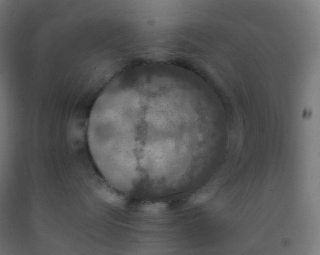X0000092330576200709281428