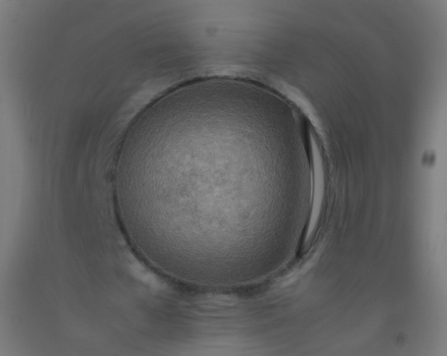 X0000092330577200709281428