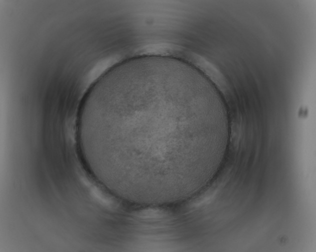 X0000092330578200709281428
