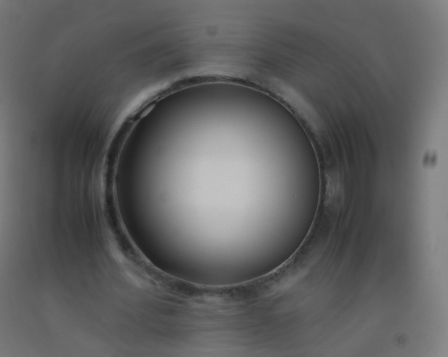 X0000092330580200709281428