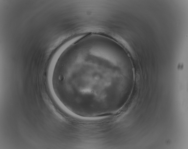 X0000092330581200709281428