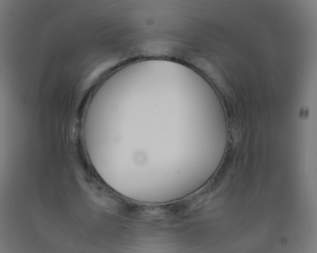 X0000092330583200709281428