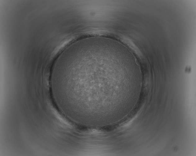 X0000092330585200709281428