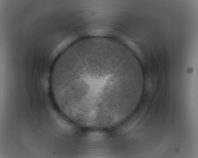 X0000092330586200709281428