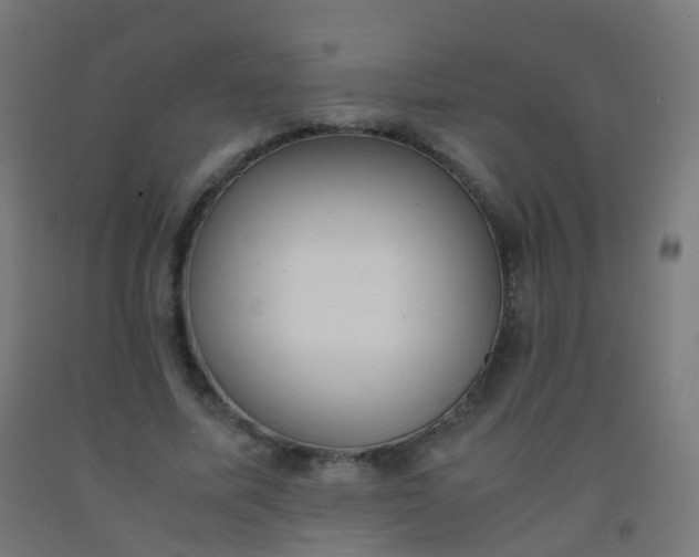 X0000092330587200709281428
