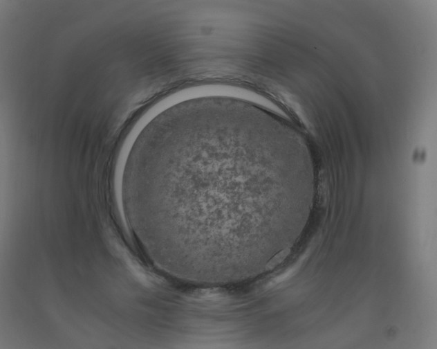 X0000092330589200709281428