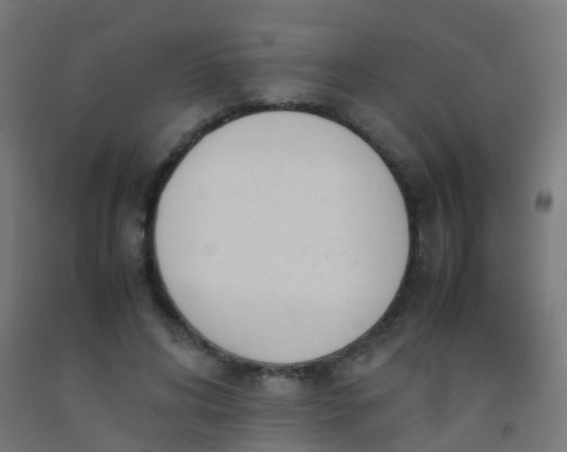 X0000092330592200709281428