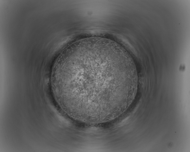 X0000092330593200709281428