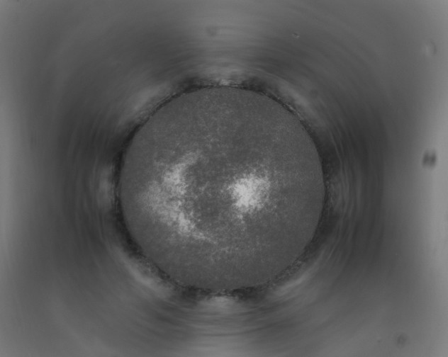 X0000092330594200709281428