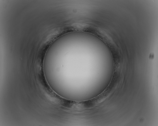 X0000092330599200709281428