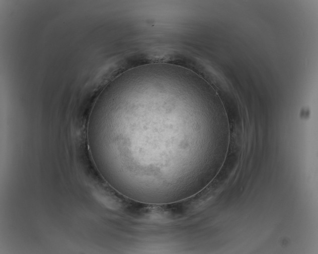 X0000092330601200709281428
