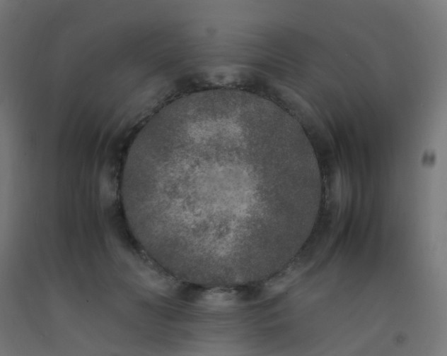 X0000092330606200709281427