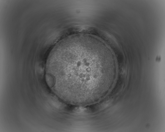 X0000092330607200709281427