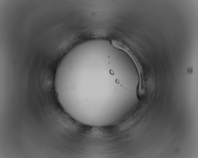 X0000092330608200709281427