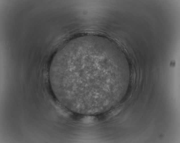 X0000092330609200709281427