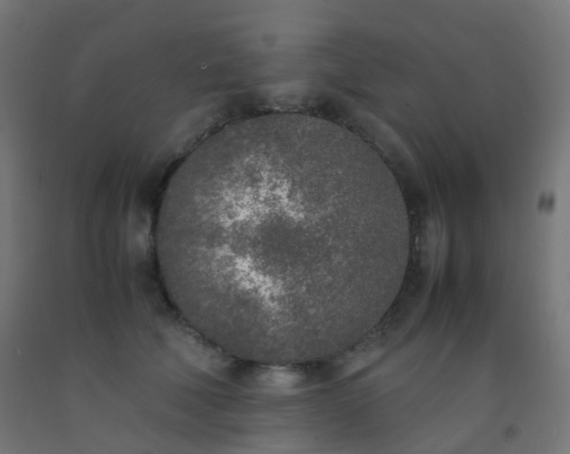X0000092330610200709281427