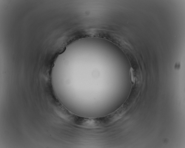 X0000092330611200709281427