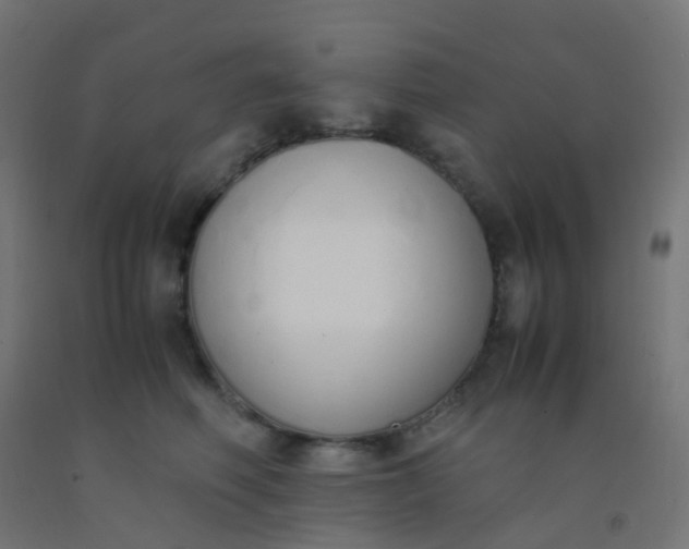 X0000092330614200709281427