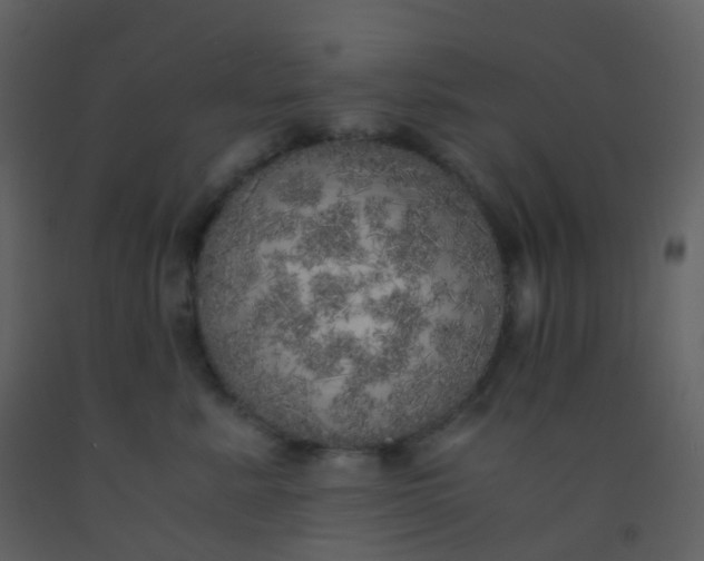 X0000092330619200709281427