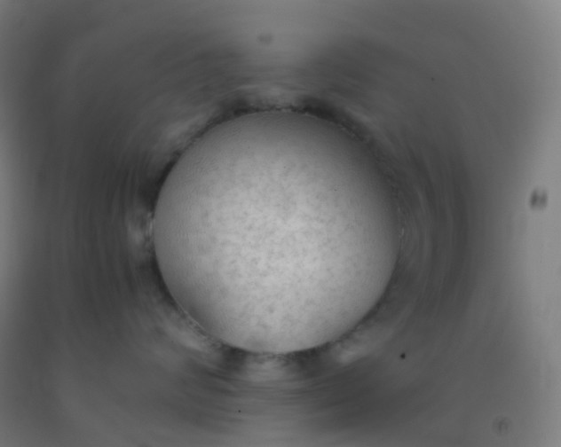 X0000092330624200709281427