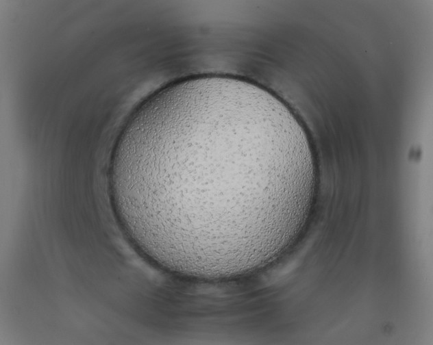 X0000092330625200709281427