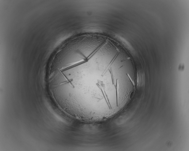 X0000092330627200709281427