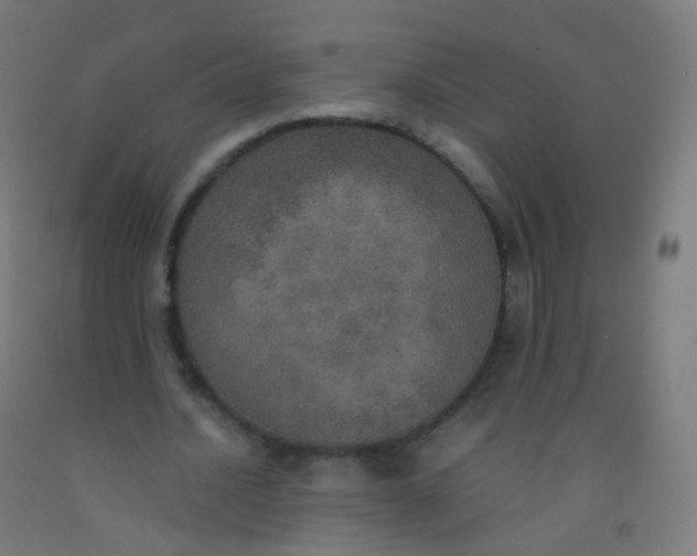 X0000092330628200709281427