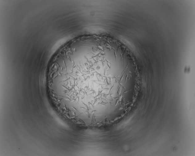 X0000092330630200709281427