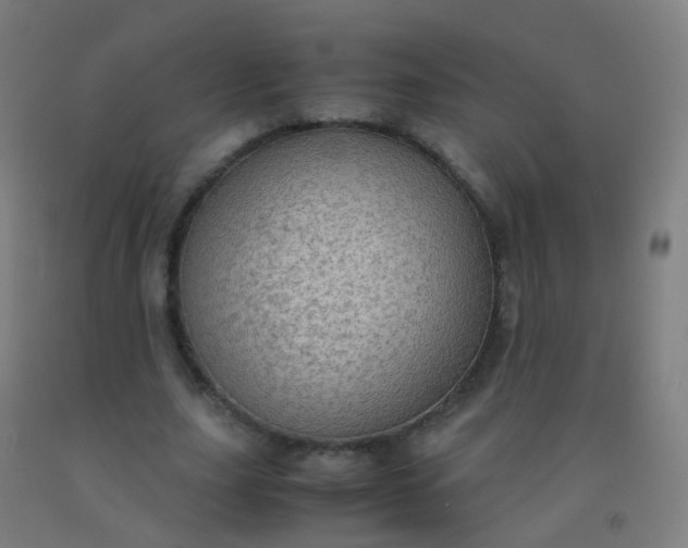 X0000092330631200709281427