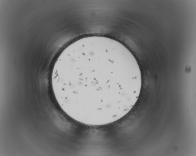 X0000092330632200709281427