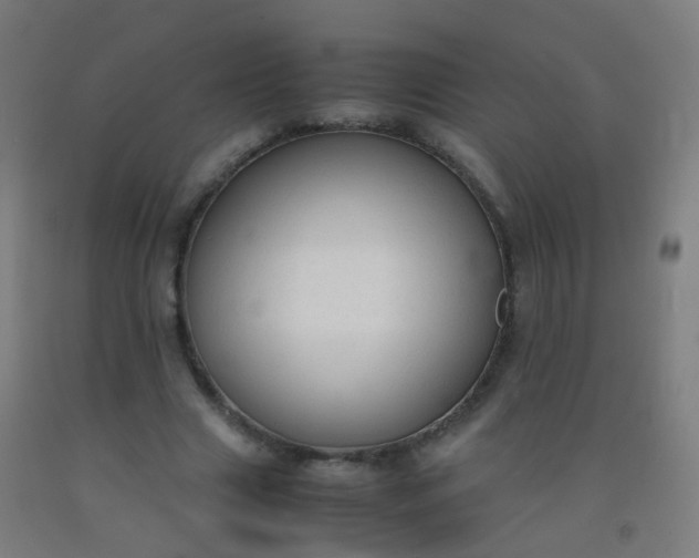 X0000092330633200709281427