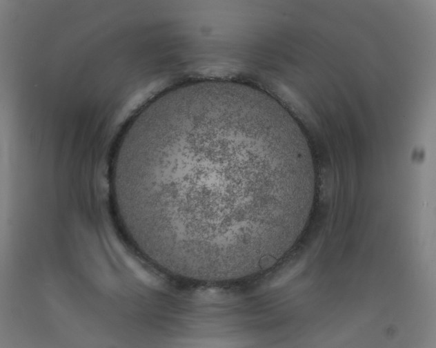 X0000092330634200709281427