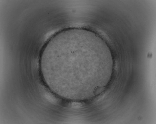 X0000092330636200709281427