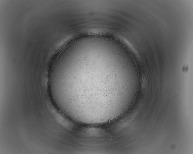 X0000092330637200709281427
