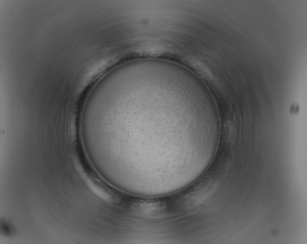 X0000092330638200709281427