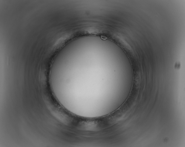 X0000092330639200709281427