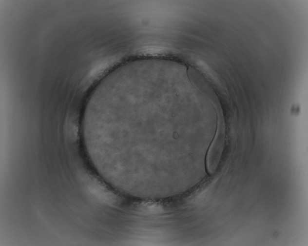 X0000092330640200709281427