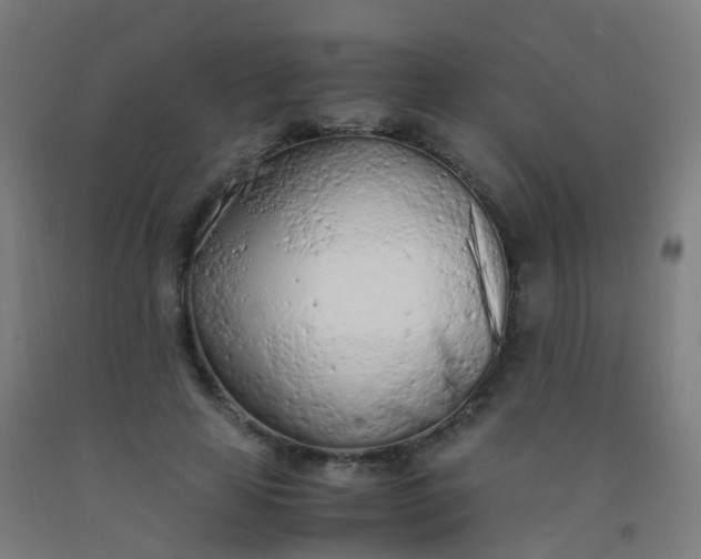 X0000092330641200709281427