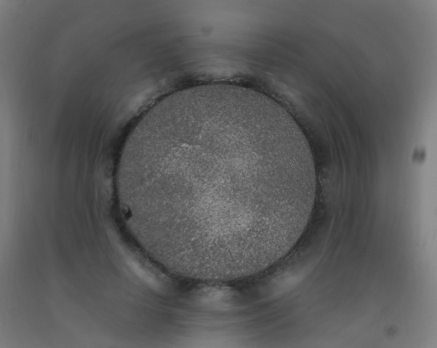 X0000092330642200709281427