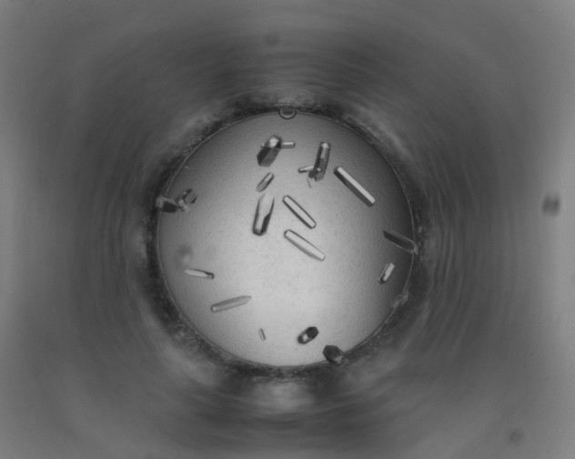 X0000092330643200709281427