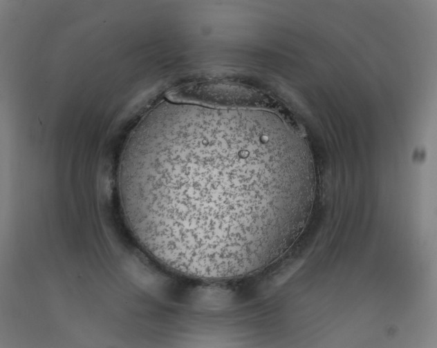 X0000092330644200709281427
