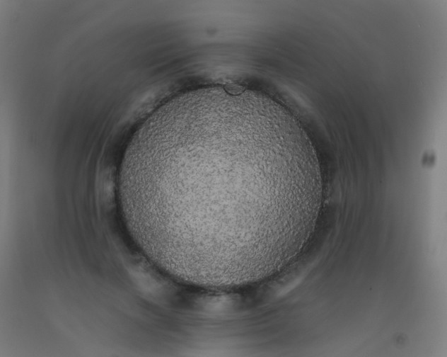 X0000092330646200709281427